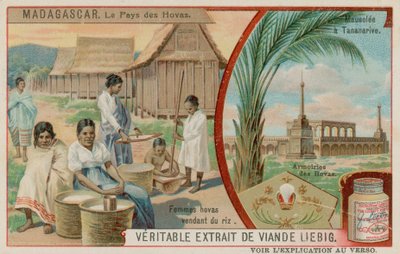 La Terra degli Hova: Donne che Vendono Riso, Mausoleo ad Antananarivo e lo Stemma degli Hova da European School